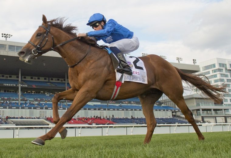 Notable Speech - Woodbine - credit Michael Burns