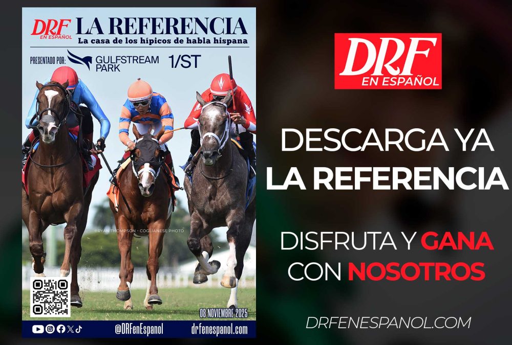 La Referencia - Gulfstream Park - Noviembre 8