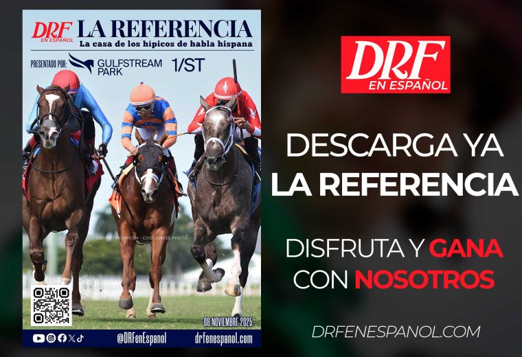 La Referencia - Gulfstream Park - Noviembre 8