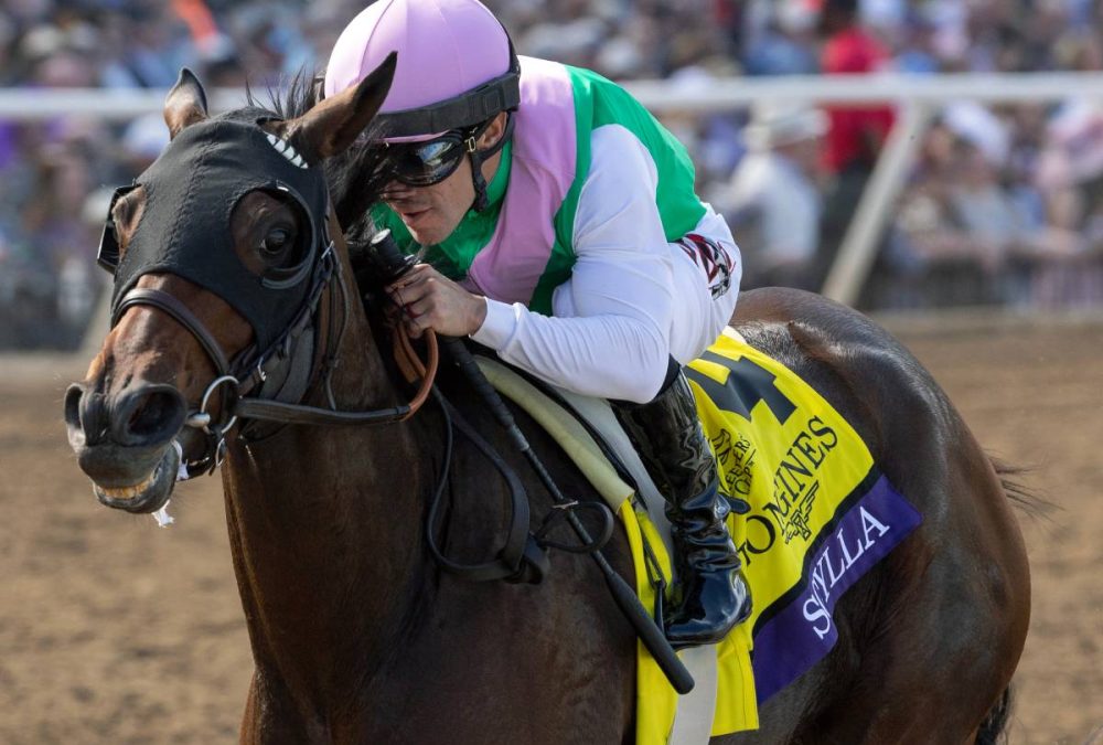 Scylla - BC Distaff - Debra A. Roma - Daily Racing Form