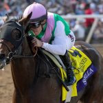 Scylla - BC Distaff - Debra A. Roma - Daily Racing Form