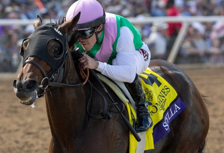 Scylla - BC Distaff - Debra A. Roma - Daily Racing Form