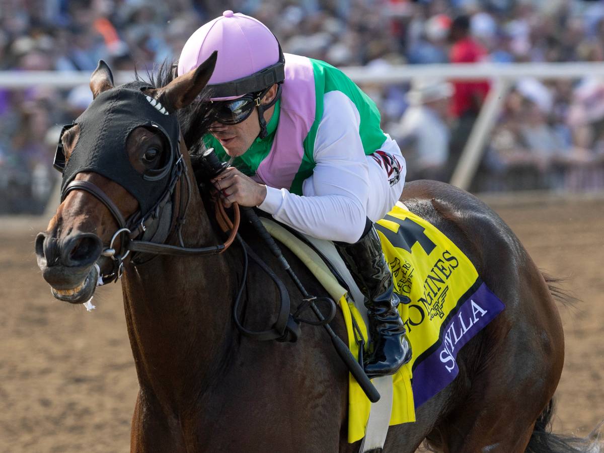 Debra Hammer Racing Scylla y Junior Alvarado, inmensos en la Longines Distaff ...