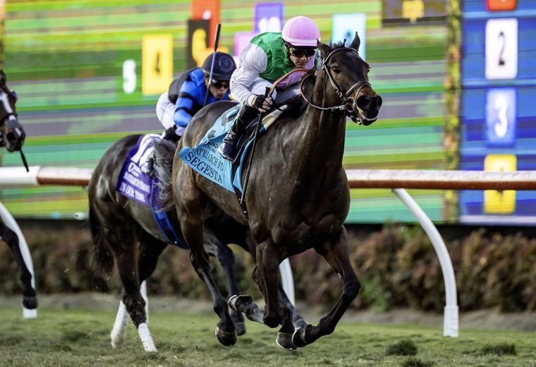 Segesta - Matriarch Stakes G1 $300,000 - Del Mar Thoroughbred Club - Benoit Photo