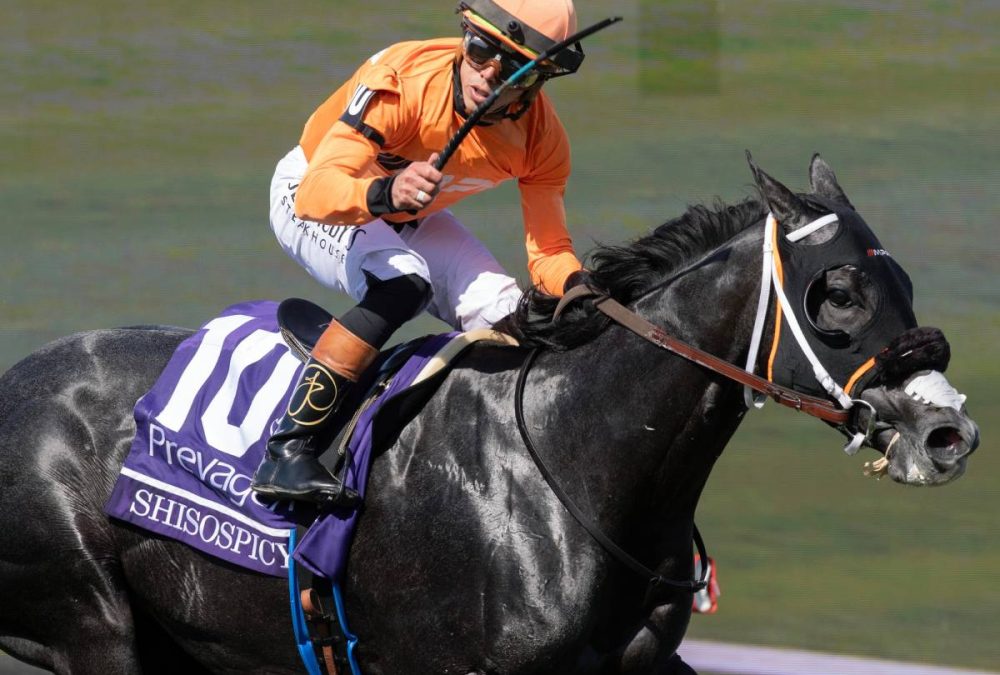 Shisospicy - BC Turf Sprint - Barbara D. Livingston - Daily Racing Form