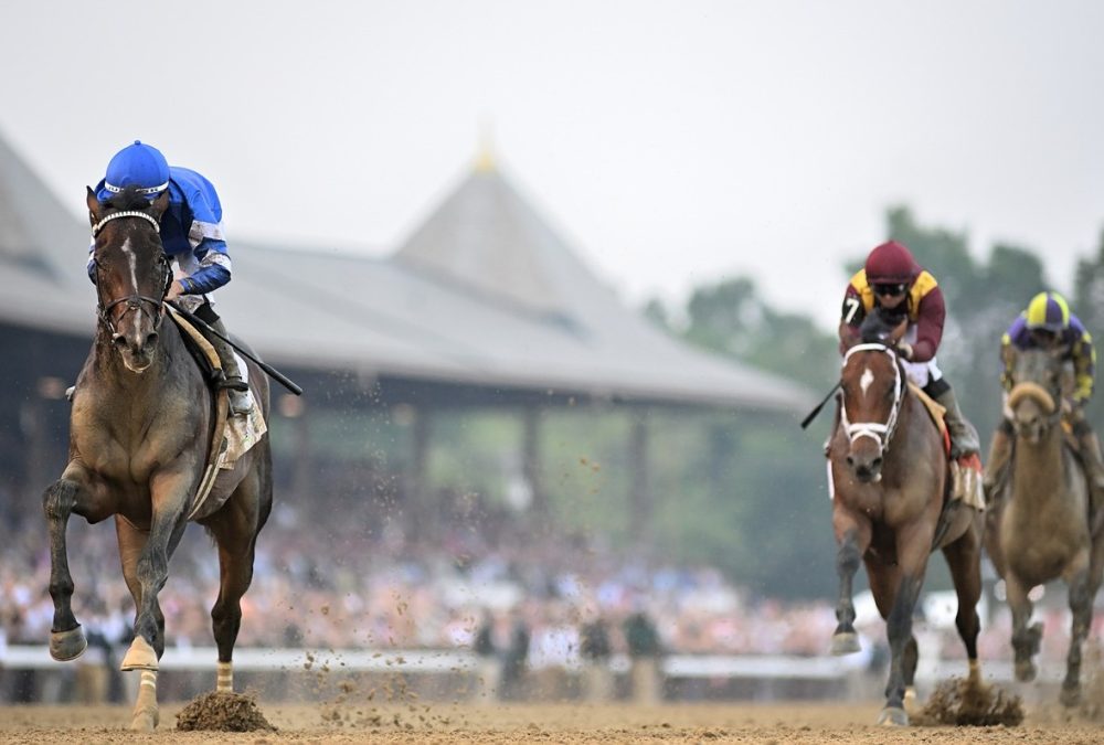 Sovereignty - the Belmont Stakes - credit Coglianese Photo