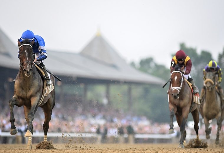Sovereignty - the Belmont Stakes - credit Coglianese Photo