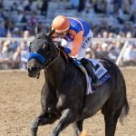 Splendora - BC Filly and Mare Sprint - Debra A. Roma - Daily Racing Form