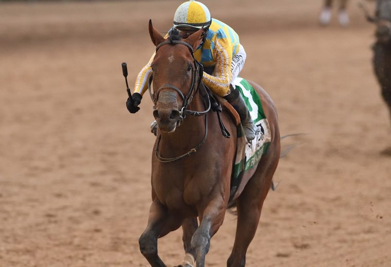 Strategic Risk - the Florida Sire Stakes In Reality div. - Coglianese Photo / Ryan Thompson