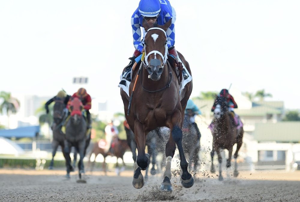 Tessellate - the Juve Fillies Sprint - credit Ryan Thompson - Coglianese Photo