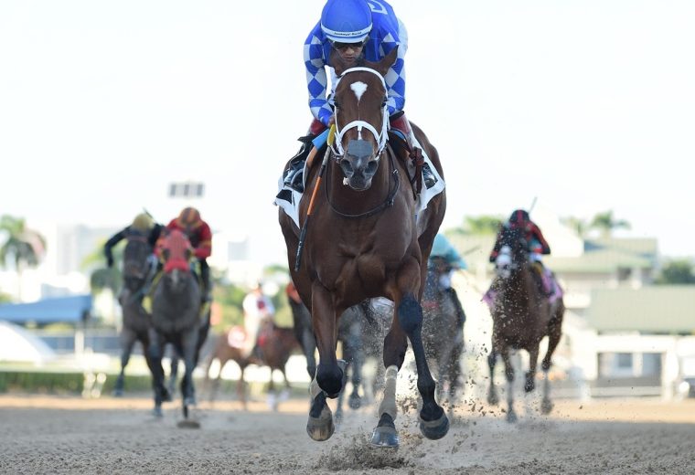 Tessellate - the Juve Fillies Sprint - credit Ryan Thompson - Coglianese Photo