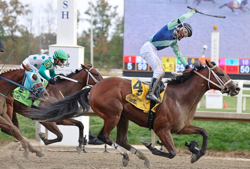 Yedsit Hazlewood at Laurel Park - Photo by Bill Denver/MJC