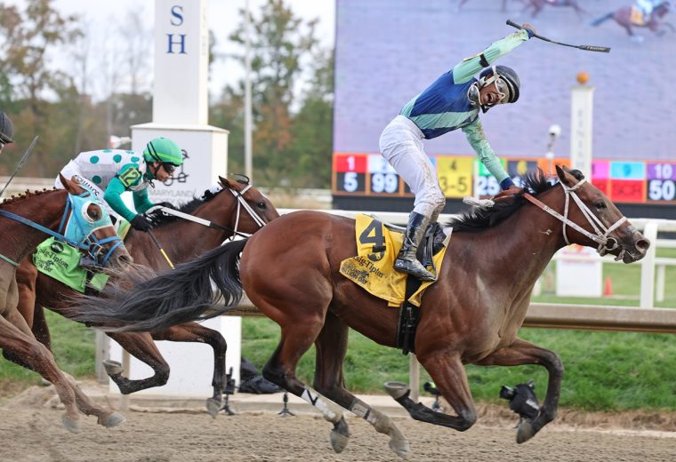 Yedsit Hazlewood at Laurel Park - Photo by Bill Denver/MJC