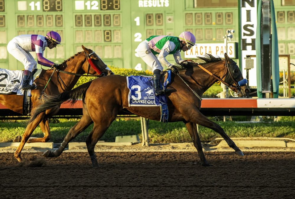 Consequent - Grade II $200,000 Starlet Stakes - Los Alamitos Race Course, - Benoit Photo