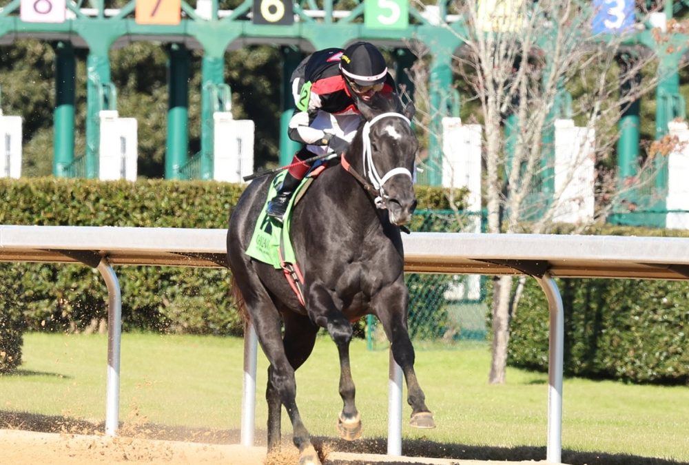 'Code - photo credito - Coady Media