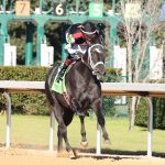 'Code - photo credito - Coady Media