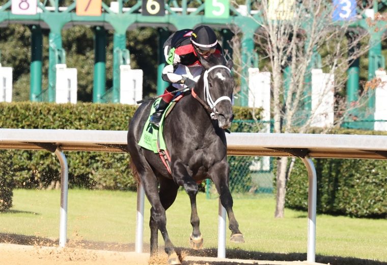 'Code - photo credito - Coady Media