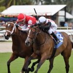 Destino d'Oro - the Tropical Park Oaks - credit Ryan Thompson - Coglianese Photo