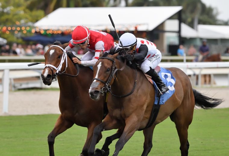 Destino d'Oro - the Tropical Park Oaks - credit Ryan Thompson - Coglianese Photo