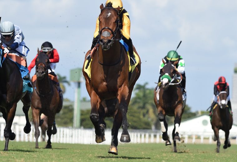 Foto Ryan Thompson - Coglianese Photo