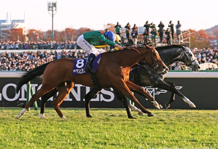 Calandagan - Japan Cup G1 - photo credit Japan Racing Association