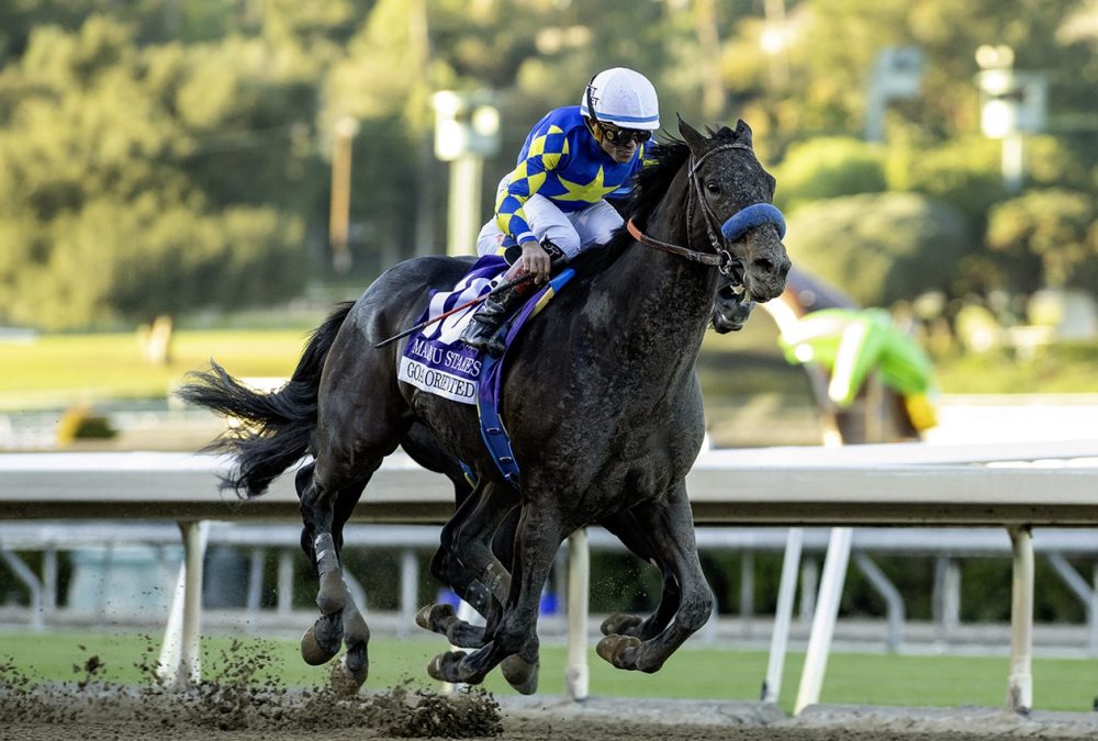 Goal Oriented - Grade I $300,000 Malibu Stakes - Santa Anita Park - Benoit Photo