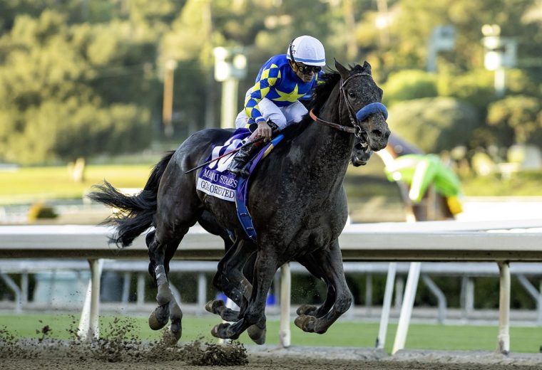 Goal Oriented - Grade I $300,000 Malibu Stakes - Santa Anita Park - Benoit Photo