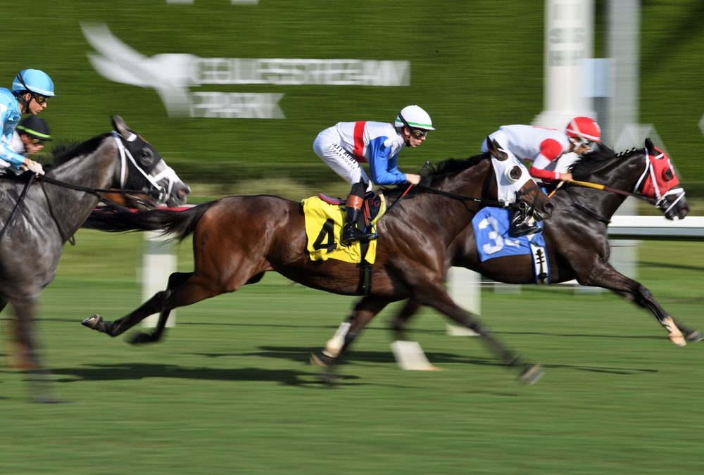 Gulfstream Park - Adam Coglianese - Coglianese Photo