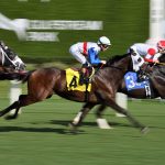 Gulfstream Park - Adam Coglianese - Coglianese Photo