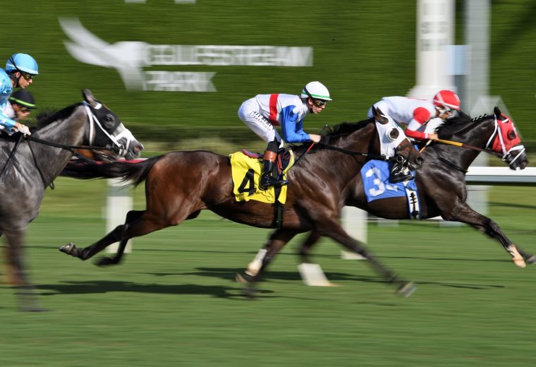 Gulfstream Park - Adam Coglianese - Coglianese Photo