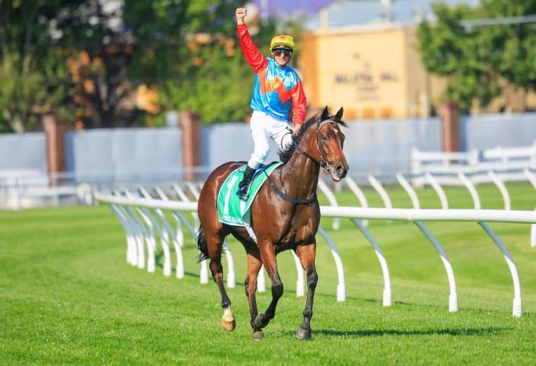 Ka Ying Rising – The TAB Everest G1 – Foto: Grant Courtney