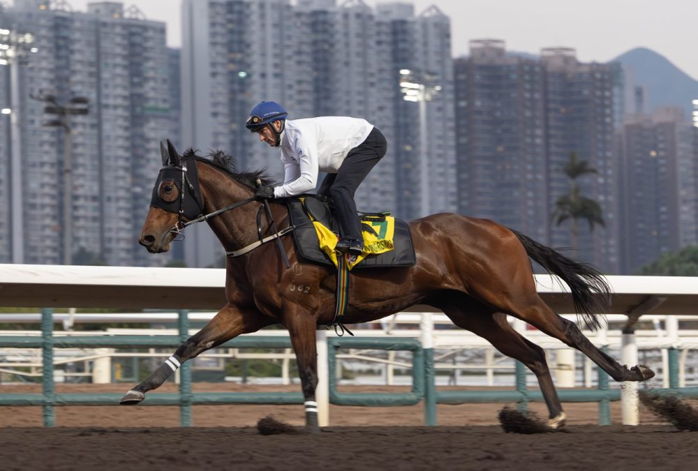 Ka Ying Rising - Hong Kong Jockey Club
