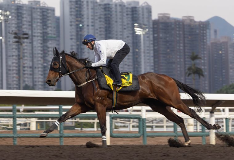 Ka Ying Rising - Hong Kong Jockey Club