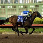 Litmus Test - Los Alamitos Futurity G2 - Benoit Photo