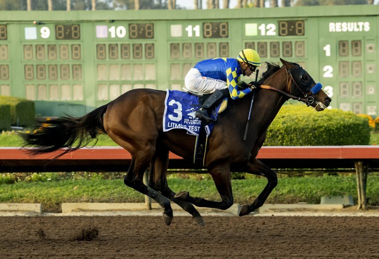 Litmus Test - Los Alamitos Futurity G2 - Benoit Photo