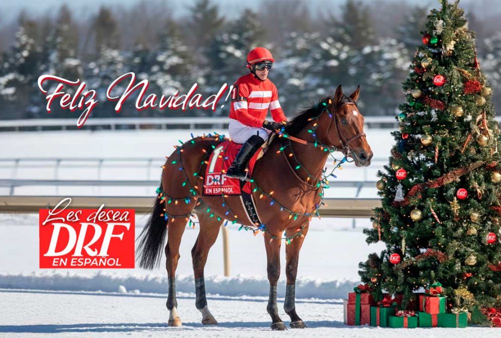 Feliz Navidad 2025 - DRF en Espanol