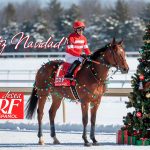 Feliz Navidad 2025 - DRF en Espanol