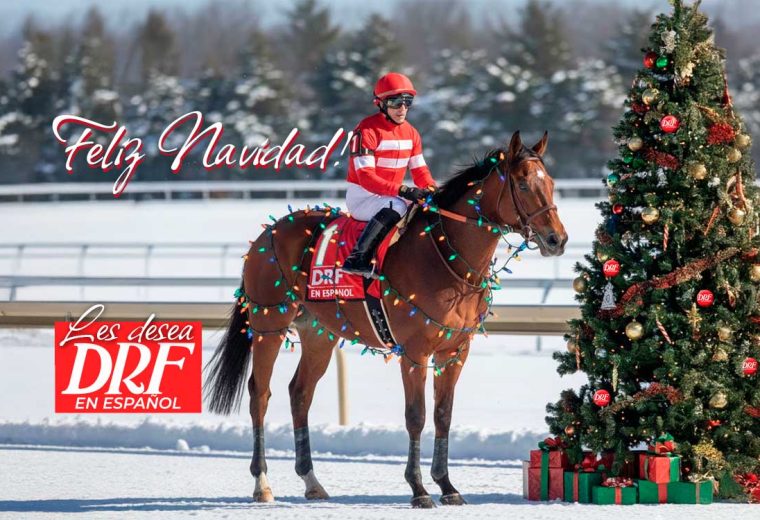 Feliz Navidad 2025 - DRF en Espanol