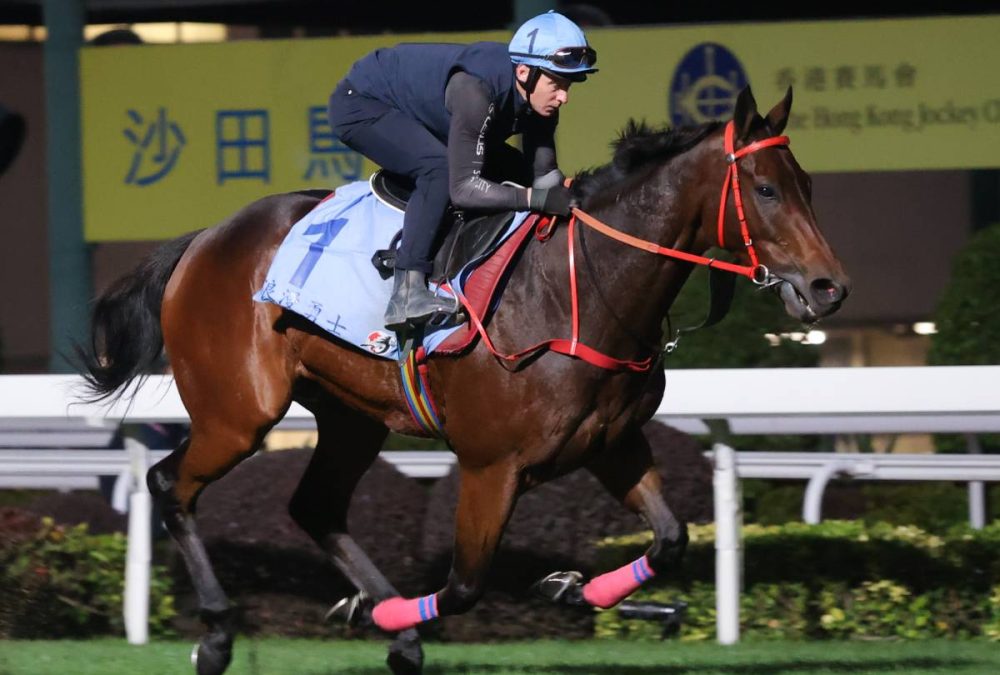 Romantic Warrior workout - Hong Kong Jockey Club