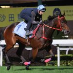 Romantic Warrior workout - Hong Kong Jockey Club
