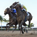 Skippylongstocking - the Harlans Holiday - Coglianese Photo