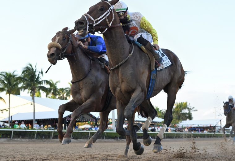 Skippylongstocking - the Harlans Holiday - Coglianese Photo