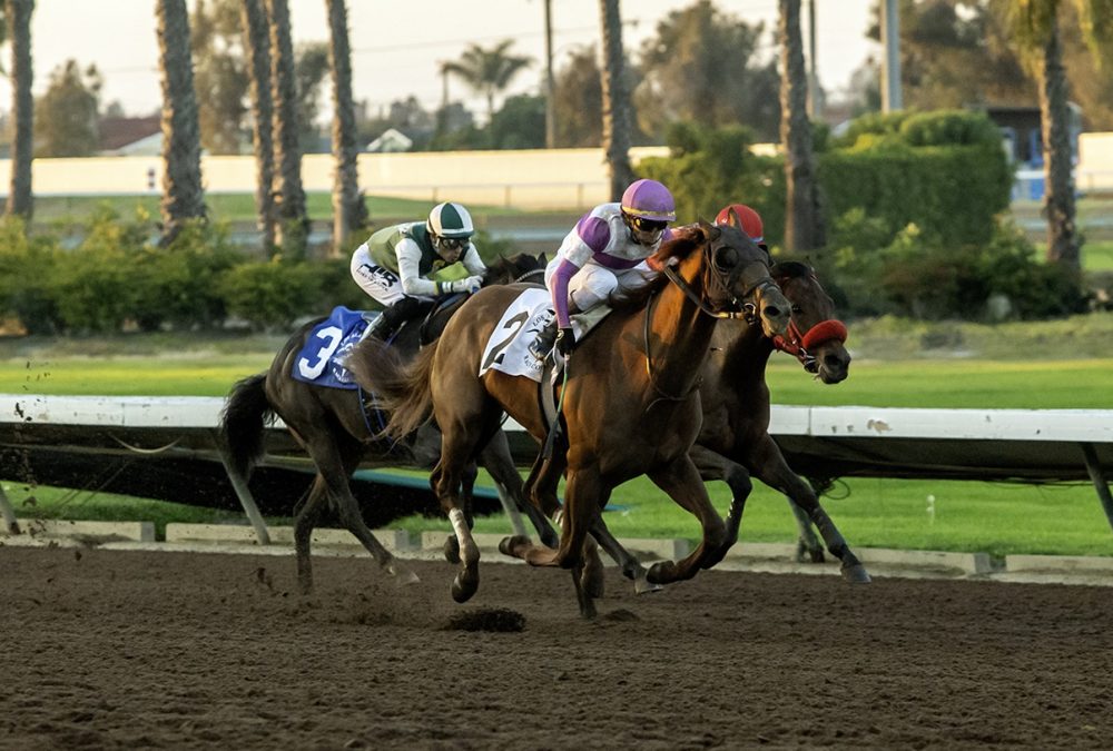 Los Alamitos - Benoit Photo, CA