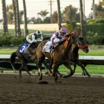 Los Alamitos - Benoit Photo, CA