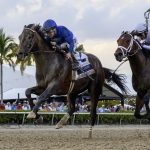 Sovereignty - Coglianese Photo - Fountain of Youth 2025