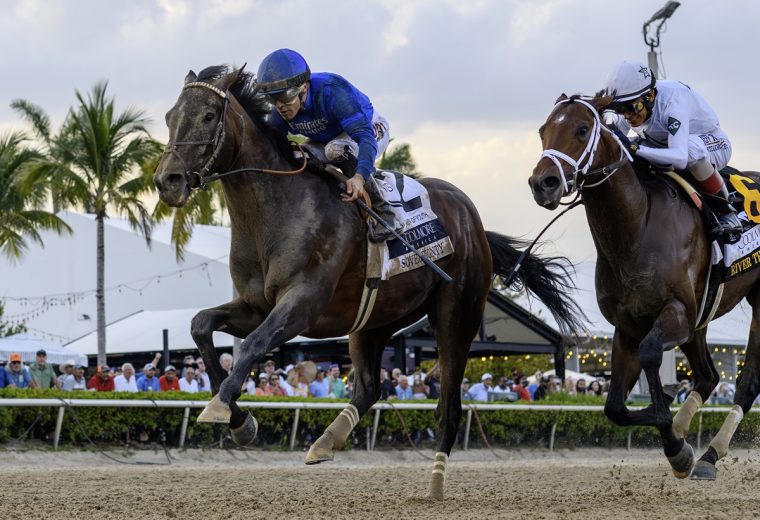 Sovereignty - Coglianese Photo - Fountain of Youth 2025