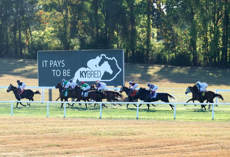 Kentucky Downs - Coady Media