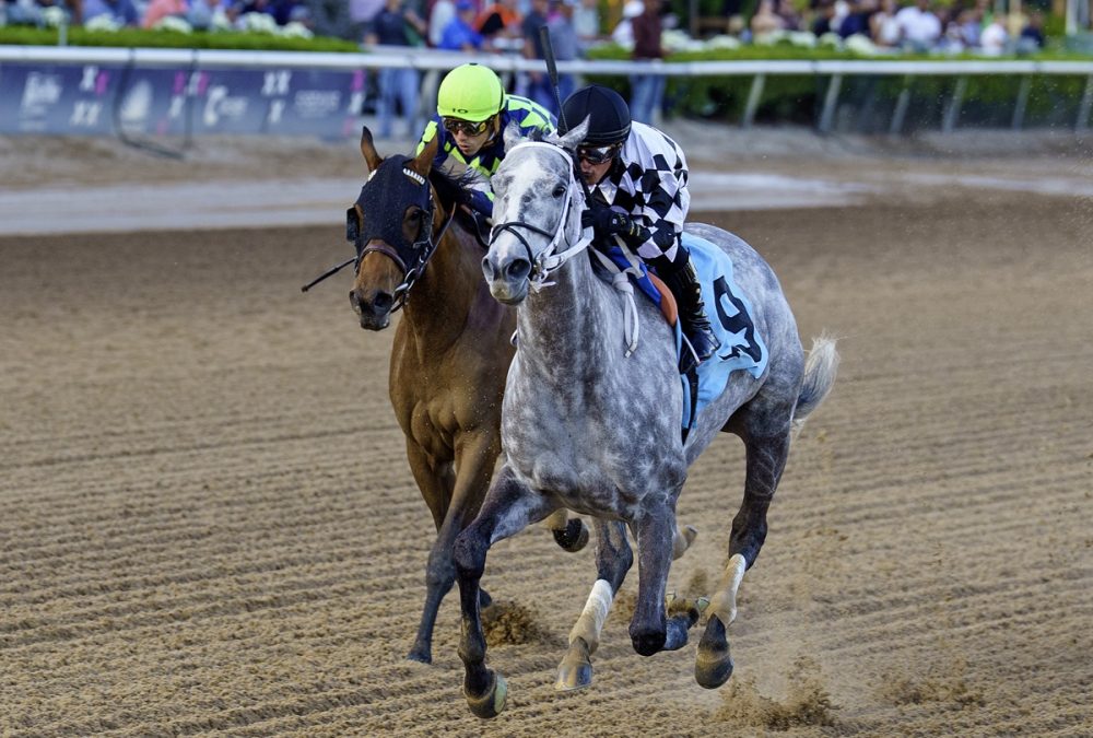 Sterling Silver The Rampart credit G Sonny Hughes - Coglianese Photo