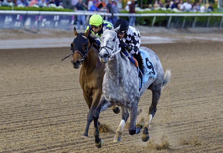 Sterling Silver The Rampart credit G Sonny Hughes - Coglianese Photo