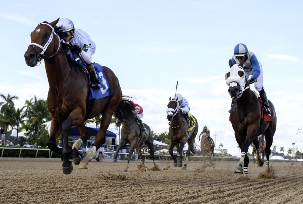 Tappan Street - credit Ryan Thompson - Coglianese Photo